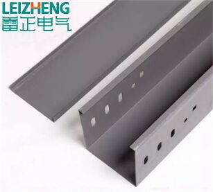 雙重視角|第五屆中藥分析和質(zhì)量控制會議開幕首日掀起新技術(shù)與安全討論熱潮