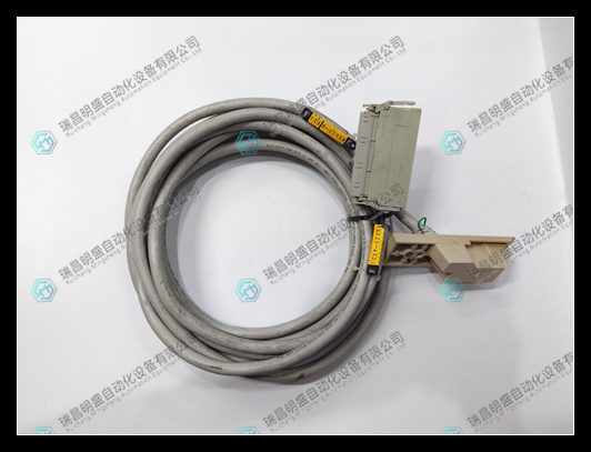 Yokogawa 16137-119電纜模塊