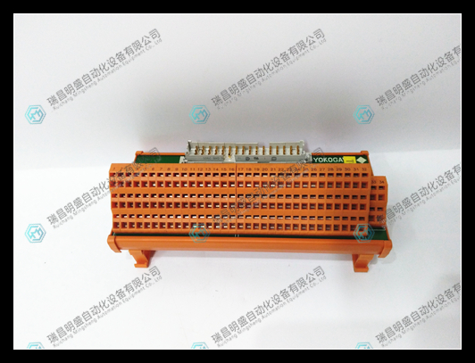 Yokogawa 8596020000電機(jī)