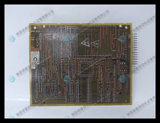 DS200SLCCG1AFG DS215SLCCG1AZZ01A (4).jpg