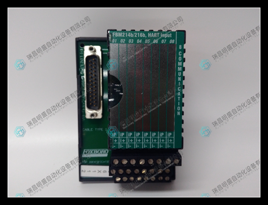 Foxboro P0924JH終端底座