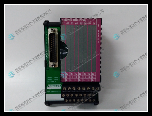 Foxboro P0916AE電子控制器模塊