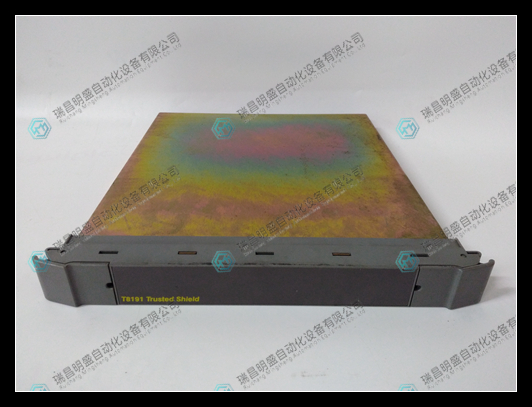 ICS TRIPLEX T8191控制模塊