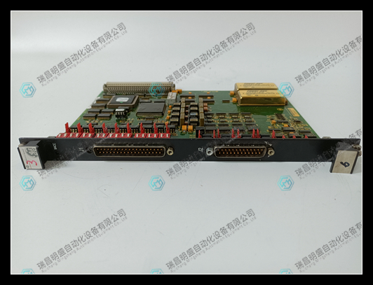 DS200SIOBH1ACA (5).jpg