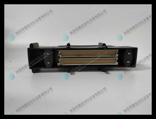 TRICONEX 2000417（4）.jpg