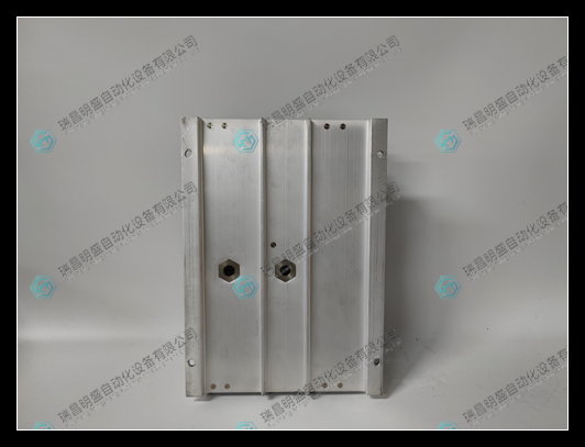 TRICONEX 2351(5).jpg