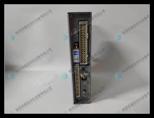 TRICONEX 3101(4).jpg