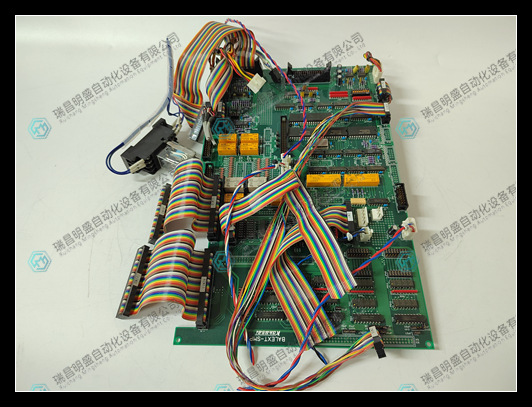 KOKUSAI BALEXT-SMP(4).jpg