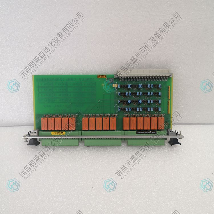 Vibro-meter 200-570-000-014  VM600 端子模塊