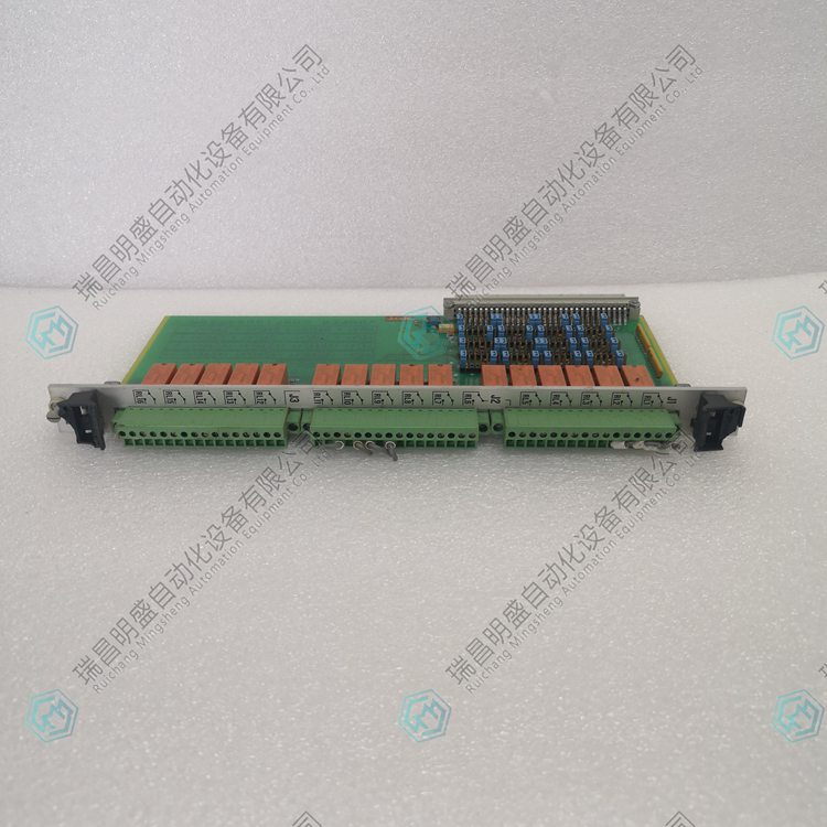  Vibro-meter200-570-101-013 VM600輸入模塊