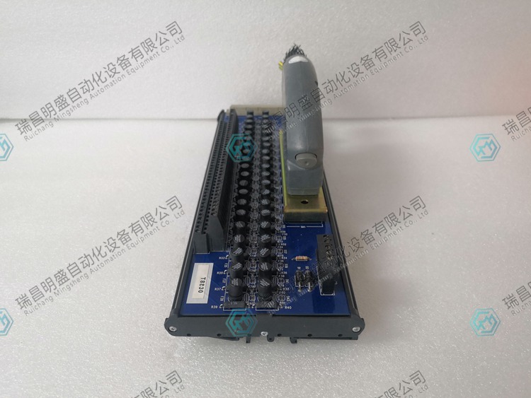 ICS TRIPLEX T8830自動(dòng)化備件模塊