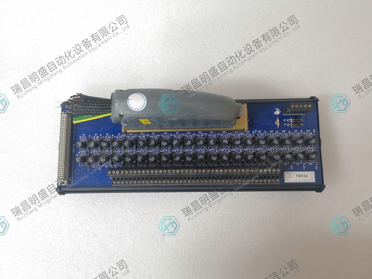ICS TRIPLEX  T8830自動化備件模塊