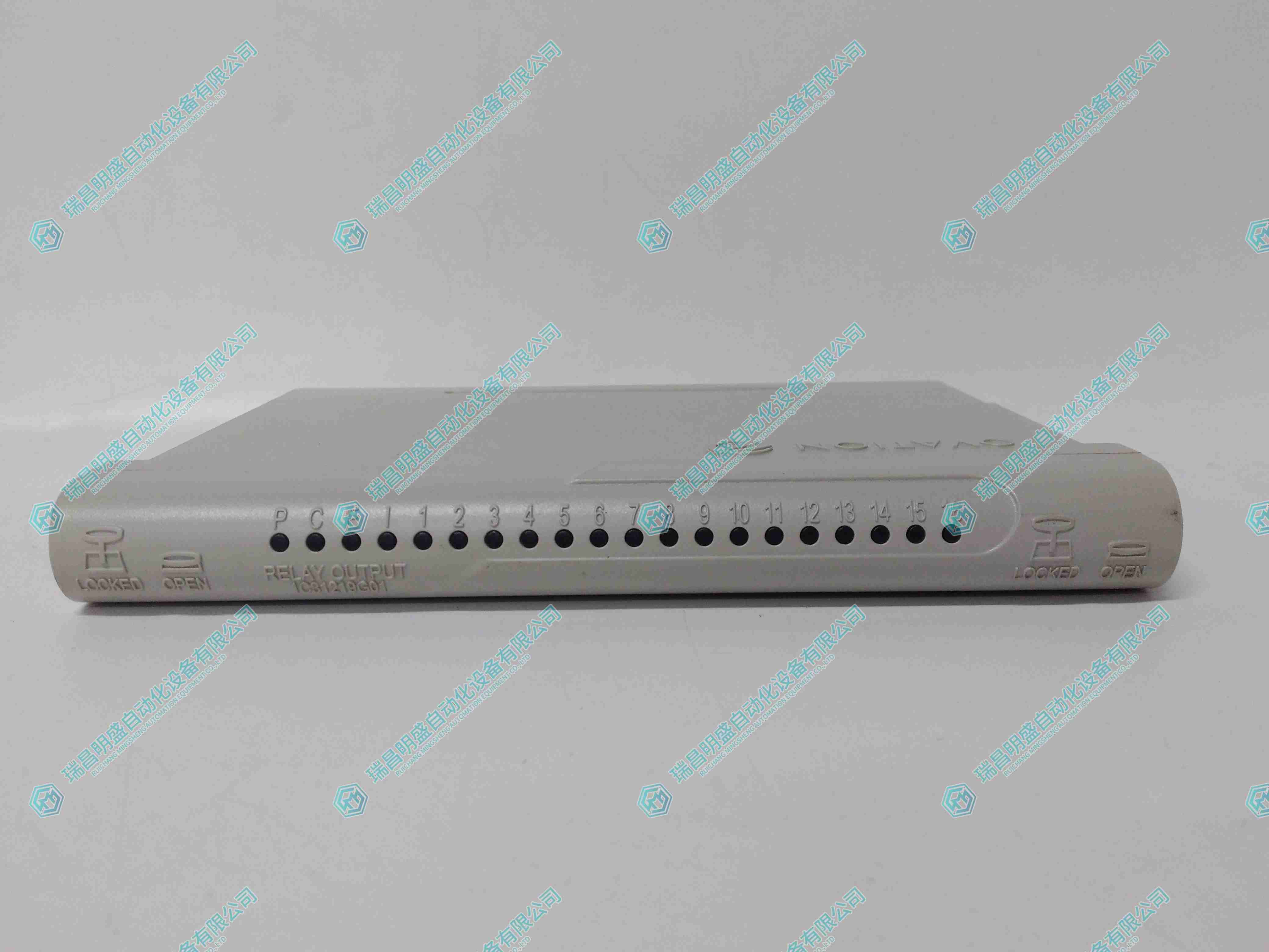 GE 1C31219G01 輸入輸出模塊