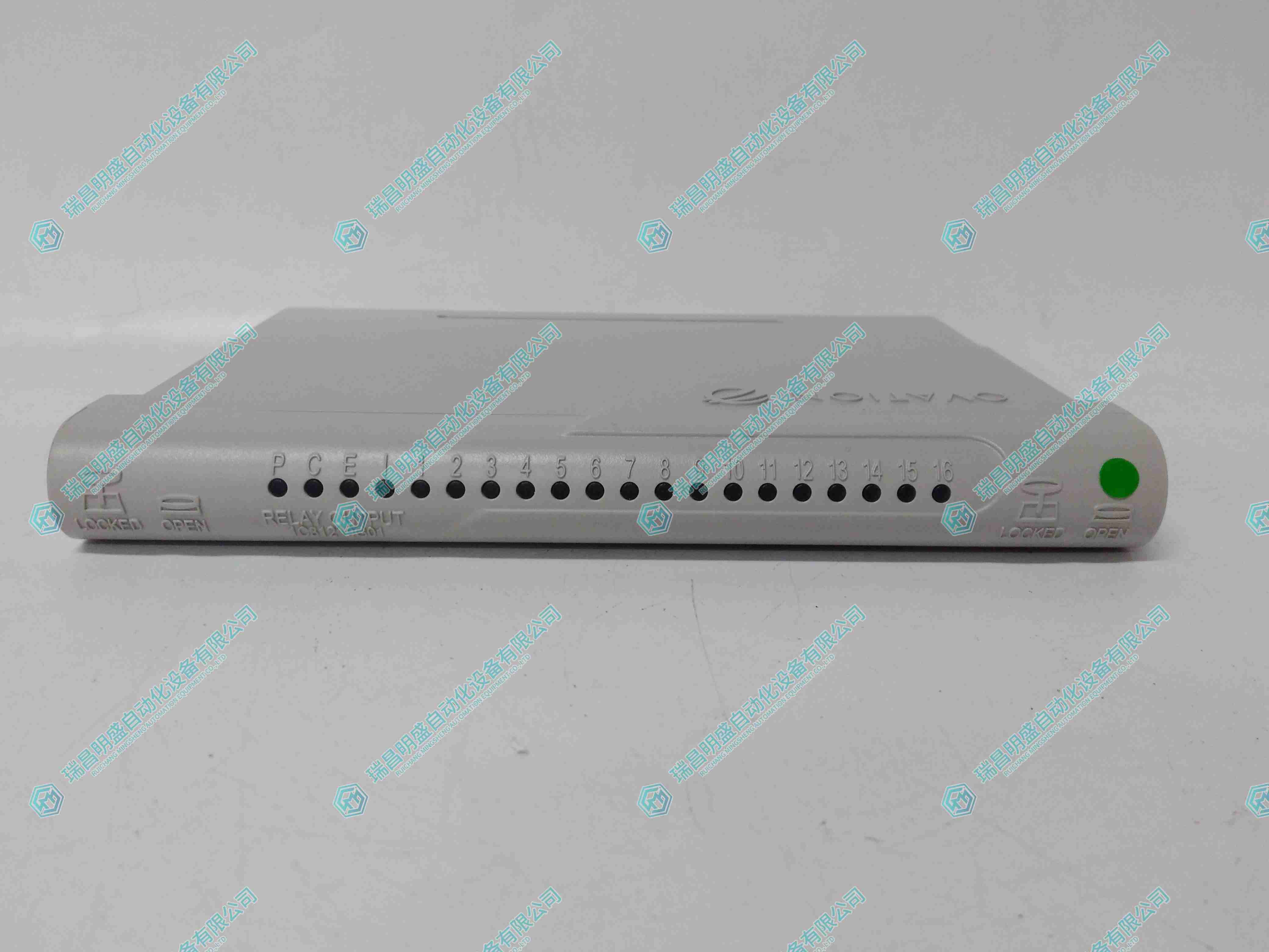 GE 1C31219G01 繼電器輸入模塊