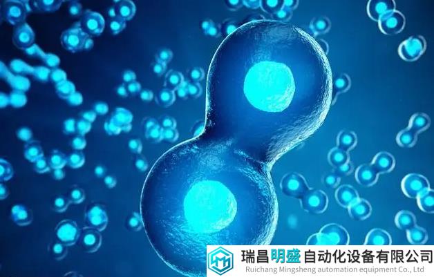 合成生物學(xué)領(lǐng)域的重大進(jìn)步：人造細(xì)胞可在內(nèi)部產(chǎn)生多種蛋白質(zhì)