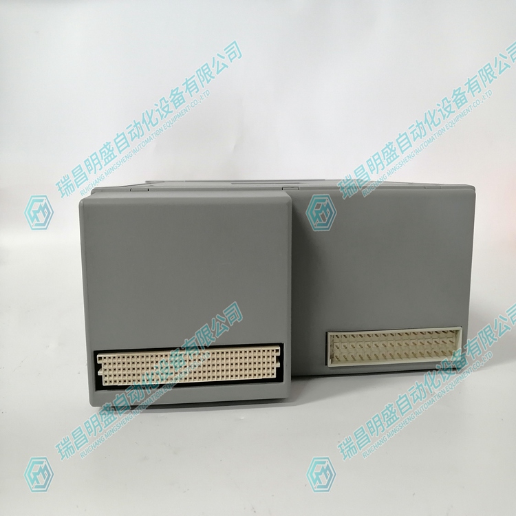 ICS TRIPLEX T8110B 可拓展模塊