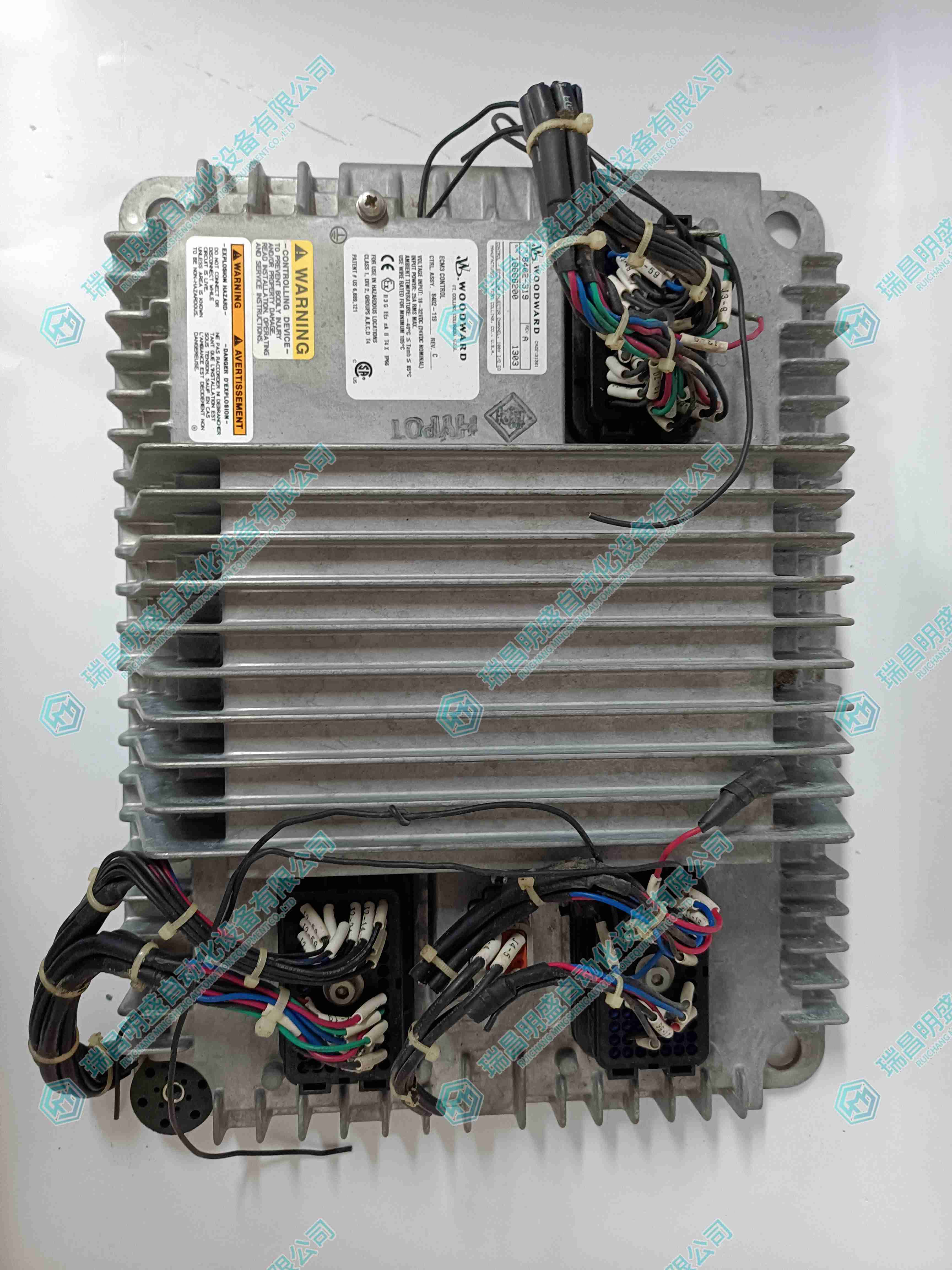   WOODWARD 8402-319 伺服驅(qū)動(dòng)器