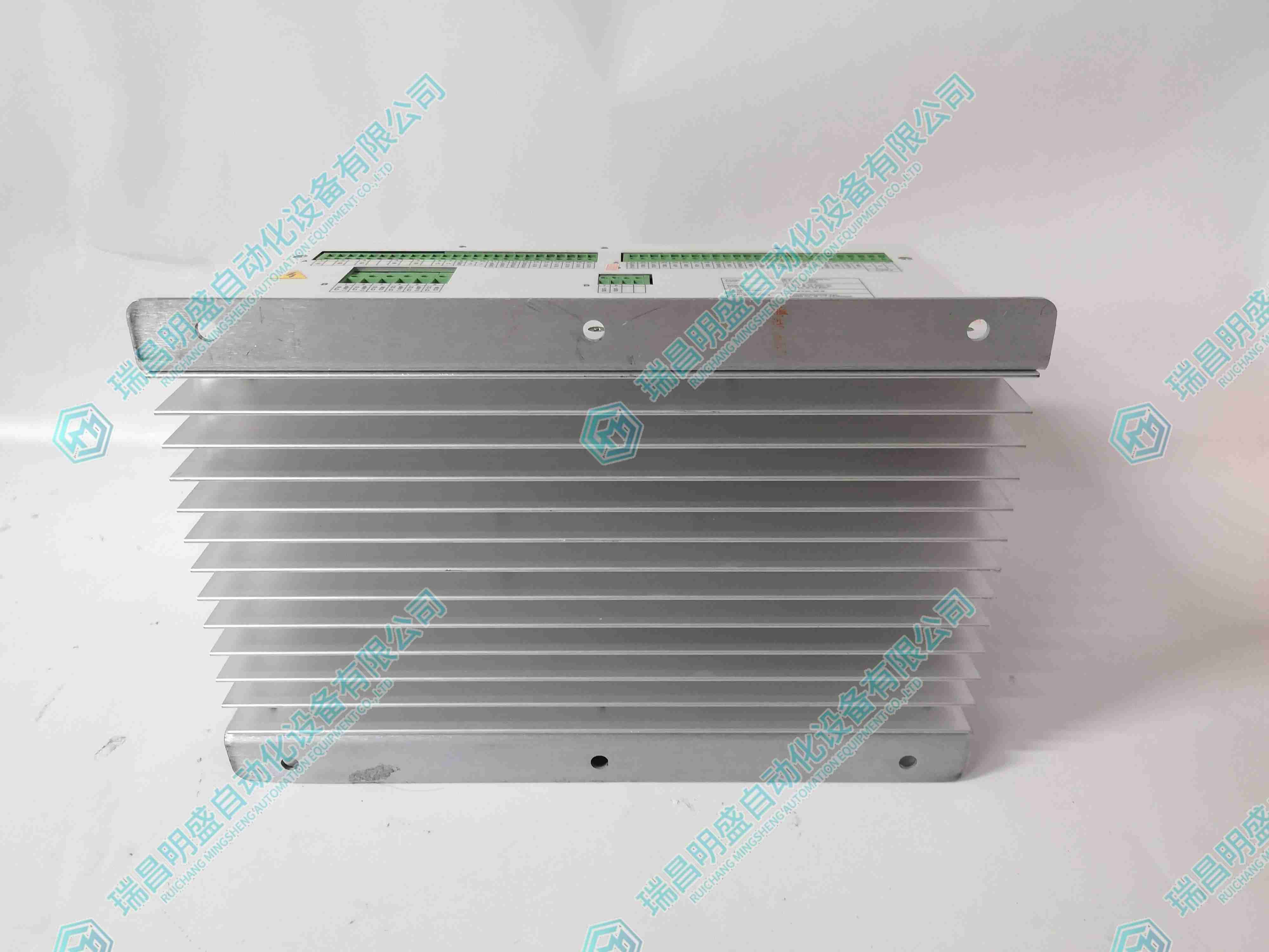 BASLER DECS-200-2L 勵(lì)磁控制模塊