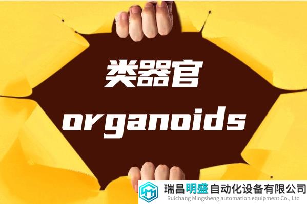 企業(yè)微信截圖_20240131113629.png 企業(yè)微信截圖_20240131113629.png