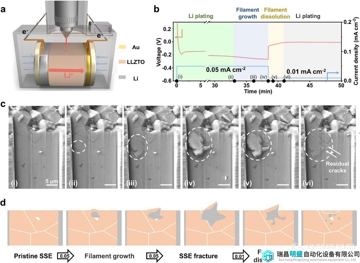 《Nano Letters》北工大程曉鵬等：采用原位電化學(xué)掃描電鏡，首次實(shí)現(xiàn)工況條件下對(duì)固態(tài)電池鋰枝晶生長(zhǎng)行為的原位觀察