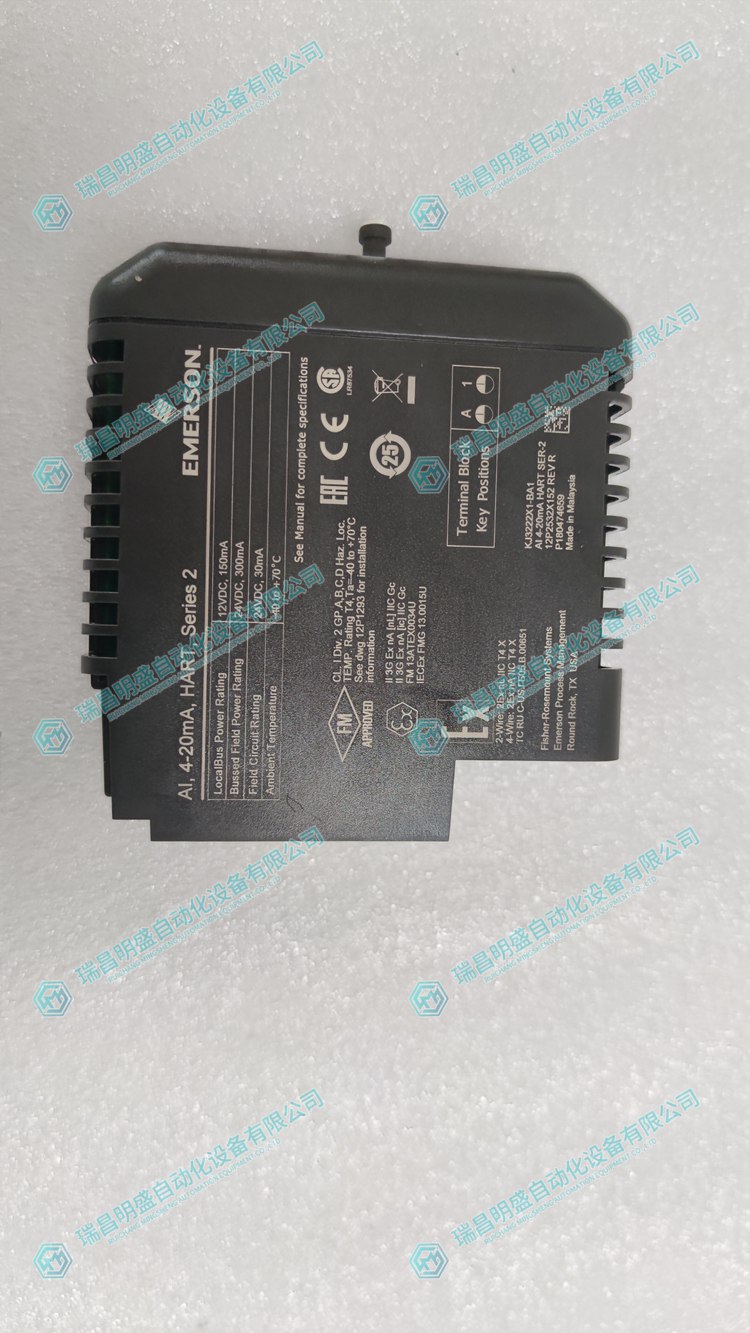 EMERSON VE4003S3B1 標(biāo)準(zhǔn)I/O接線板