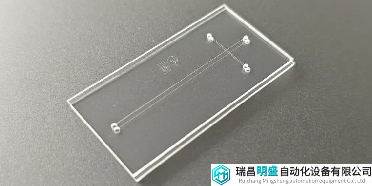 電泳微流控芯片：生物分析的里程碑