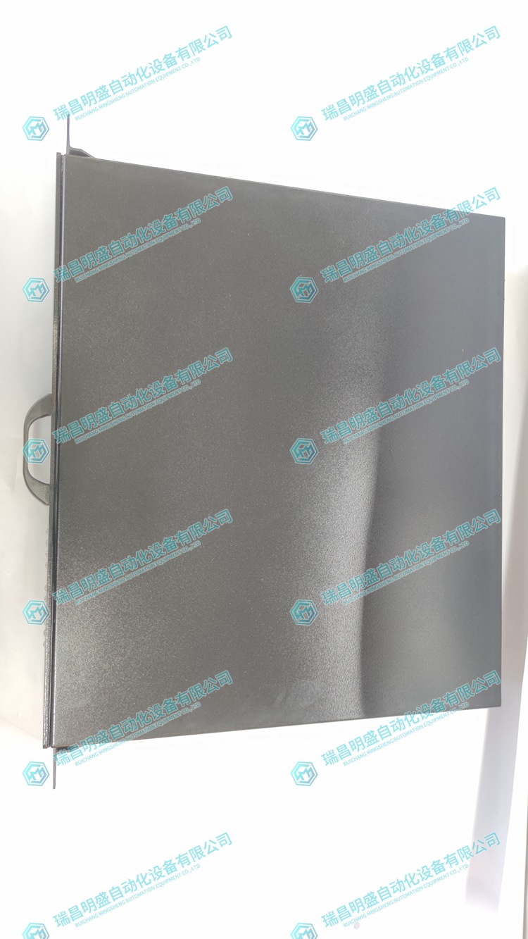 Metso D200137 伺服驅(qū)動(dòng)模塊