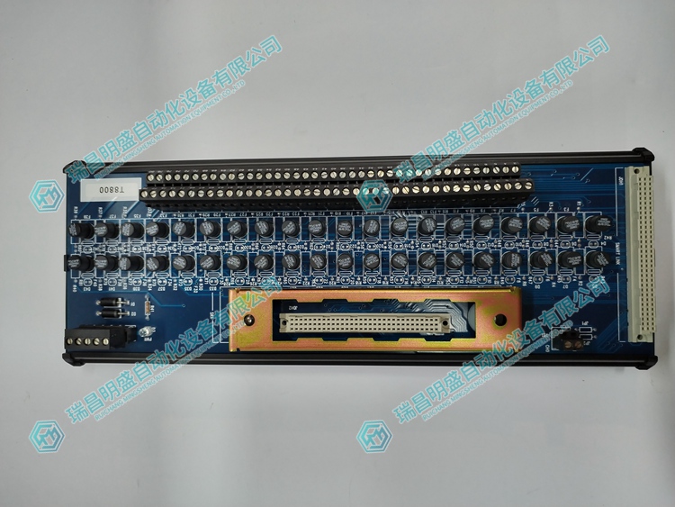 ICS Triplex T8800 數(shù)字輸入通道模塊