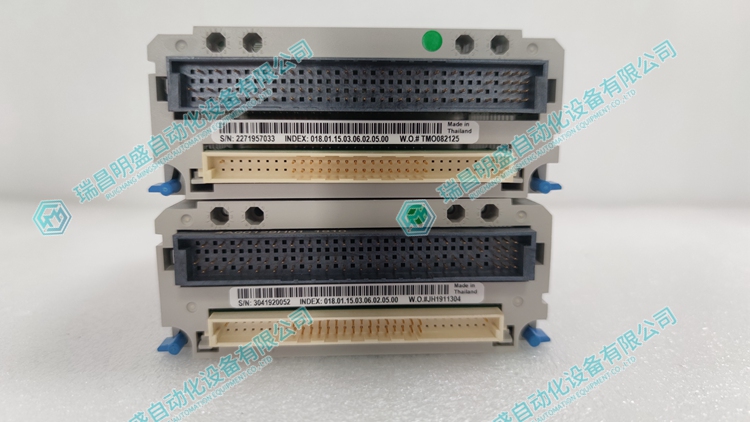 Emerson 1C31234G01 輸入輸出模塊