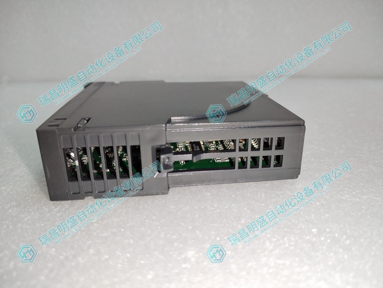 Metso   D201189 輸入輸出模塊