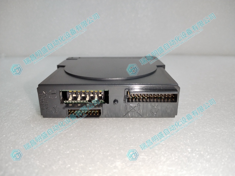 Metso   D201189 輸入輸出模塊