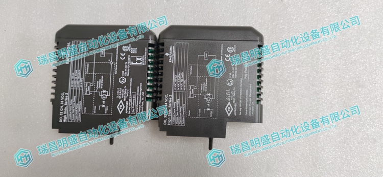 EMERSON CE4002S1T2B5 標(biāo)準(zhǔn)I/O接線板