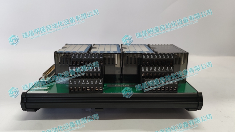 FOXBORO RH916XZ 溫濕度傳感器