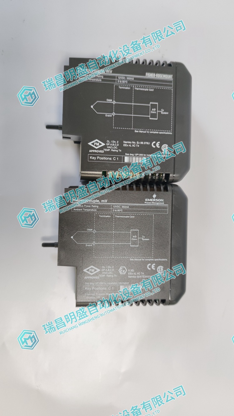 EMERSON VE4003S5B1監(jiān)視控制系統(tǒng)