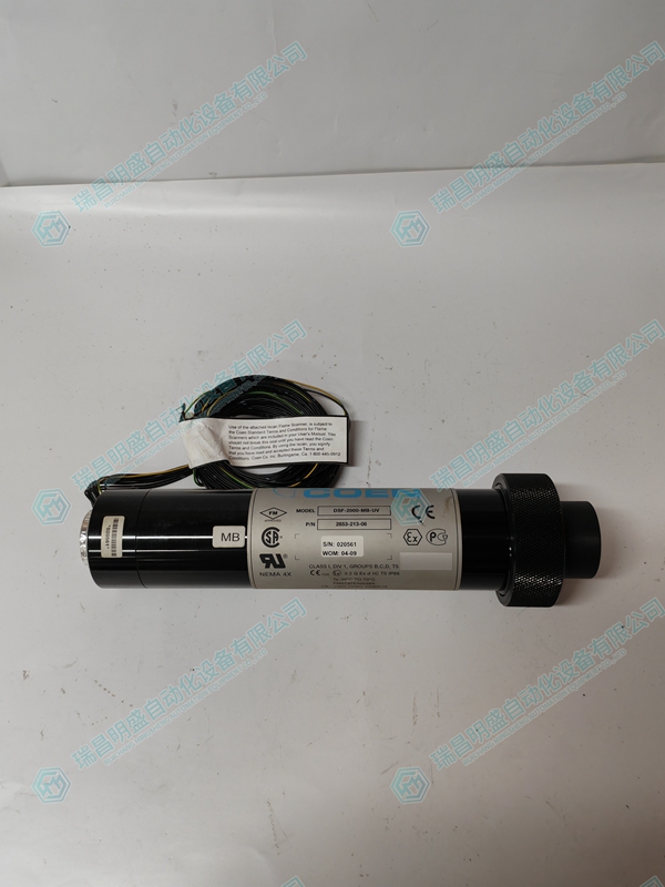 COEN ISCAN DSF-2000-MB-UV 2653-213-06火焰掃描儀
