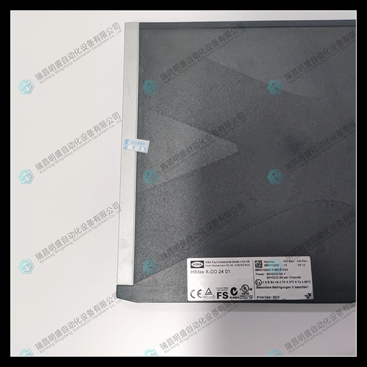 HIMA X-DO2401 985210203 (5).jpg