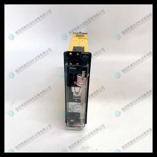 MVUA11B1BD0784B (7).jpg