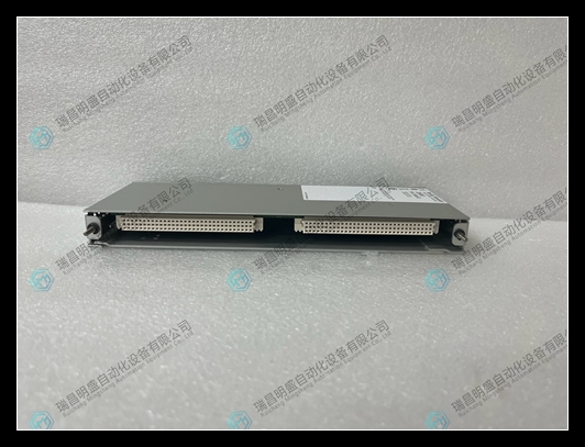 BENTLY 146031-01 暫態(tài)數(shù)據(jù)接口I/O模塊