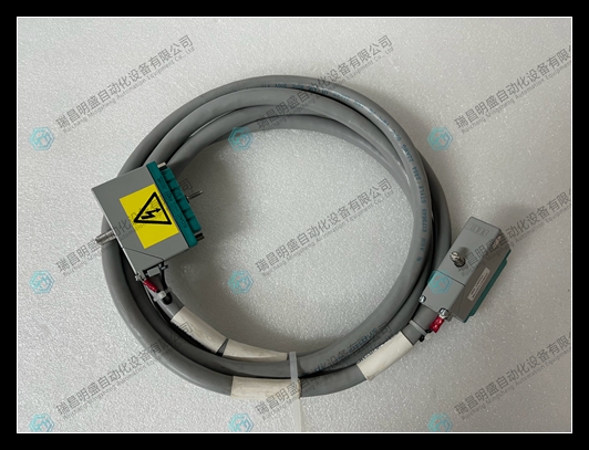 TRICONEX 4000093-110N線纜