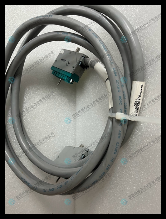 TRICONEX 4000093-110N線纜