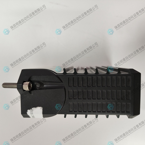 TRICONEX PLM3900N(2).jpg