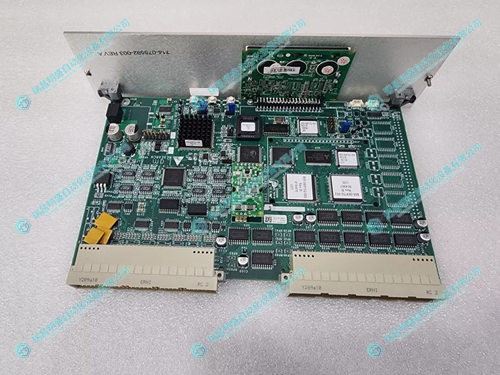 Lam 810-069751-114 .webp.jpg