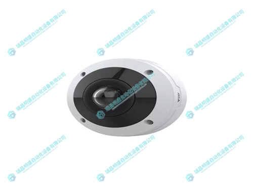 M4318-PLVE .webp.jpg