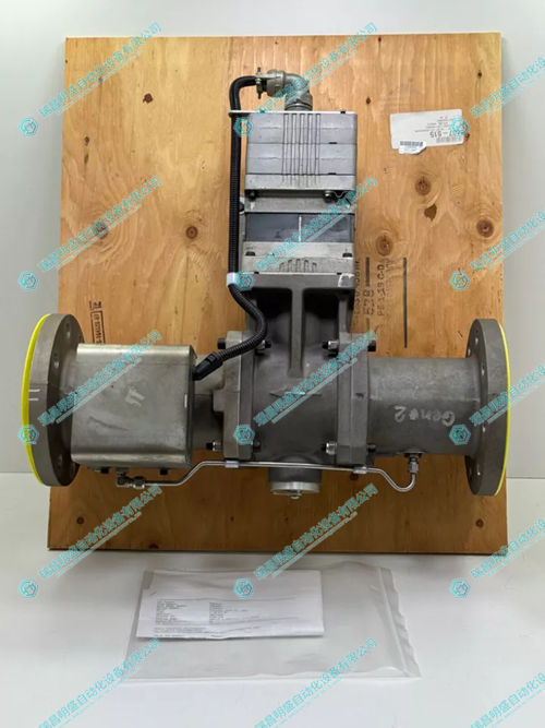 8407-515.webp (1).jpg