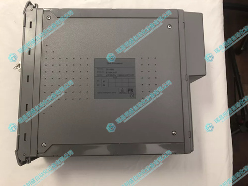 ICS TRIPLEX TB8110B處理器模塊