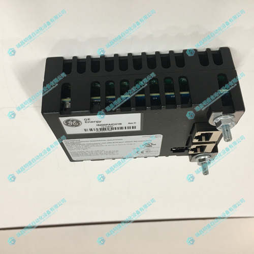 IS220PAICH1B 分析輸入/輸出模塊