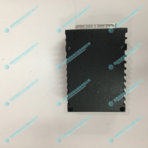 IS220PAICH1B 分析輸入/輸出模塊