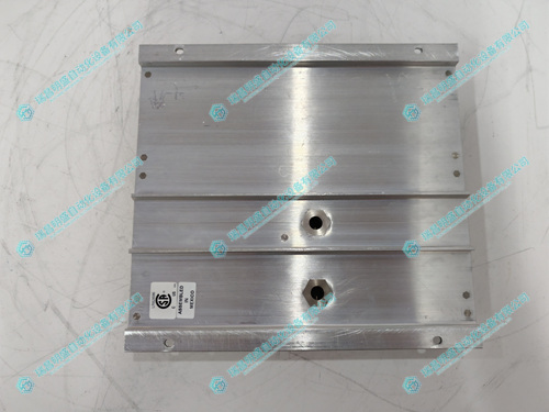 TRICONEX DO2401 7400209-030 數(shù)字輸出底座