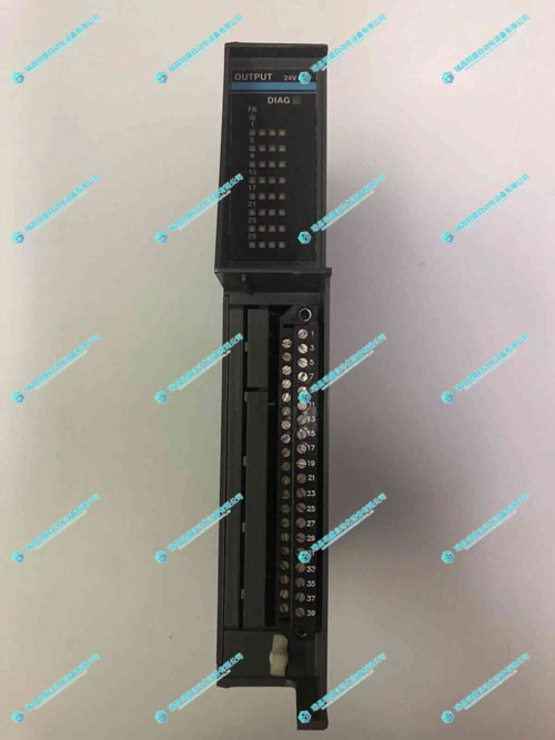 GIDDINGS & LEWIS 502-03640-02輸出模塊