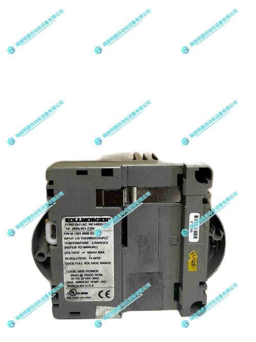 GIDINGS&LEWIS M.1301.9806熱電偶